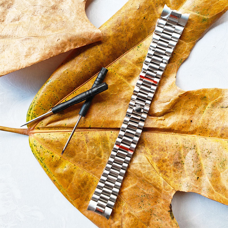 Correa sólida de 20mm 904L par - Rolex Watch Datejust reseña y precio